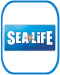 The British Holidays Booking Office | Home of the #ukstaycation | UK Attractions | Sealife Centres The British Holidays Booking Office | Home of the #ukstaycation | UK Attractions | Sealife Centres